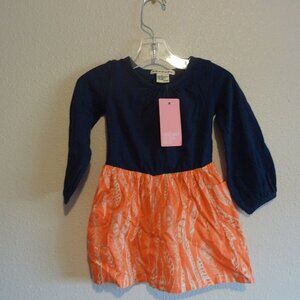 Anthem of the Ants Colorblock dress